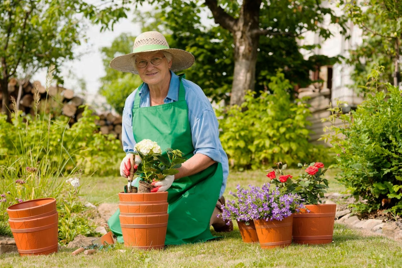 old woman planting plants to the pots