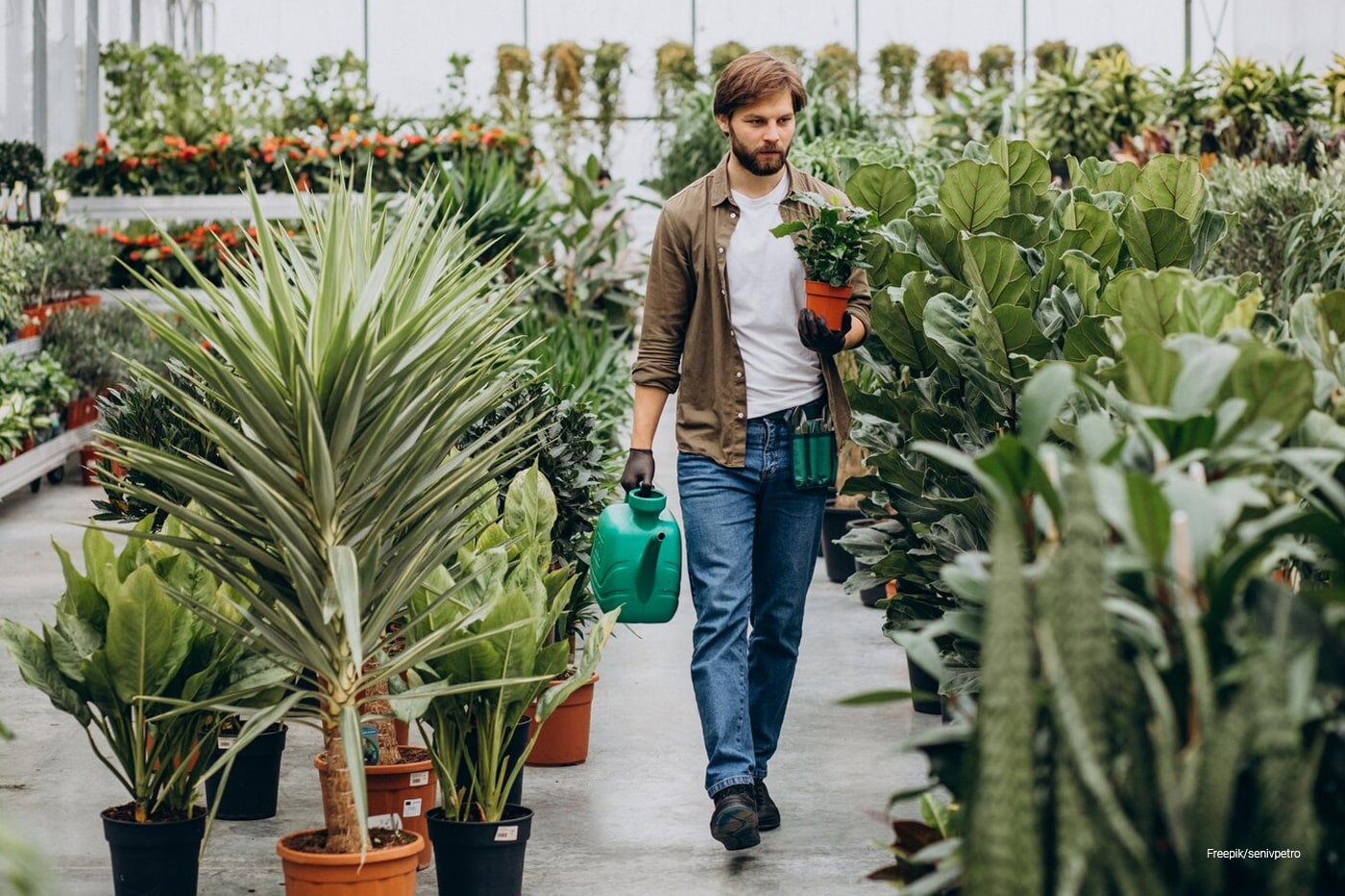 man carrying plants at plant nursery