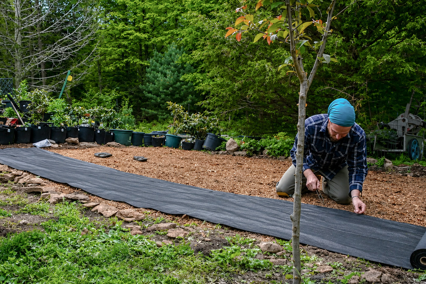 landscape fabric installed 
