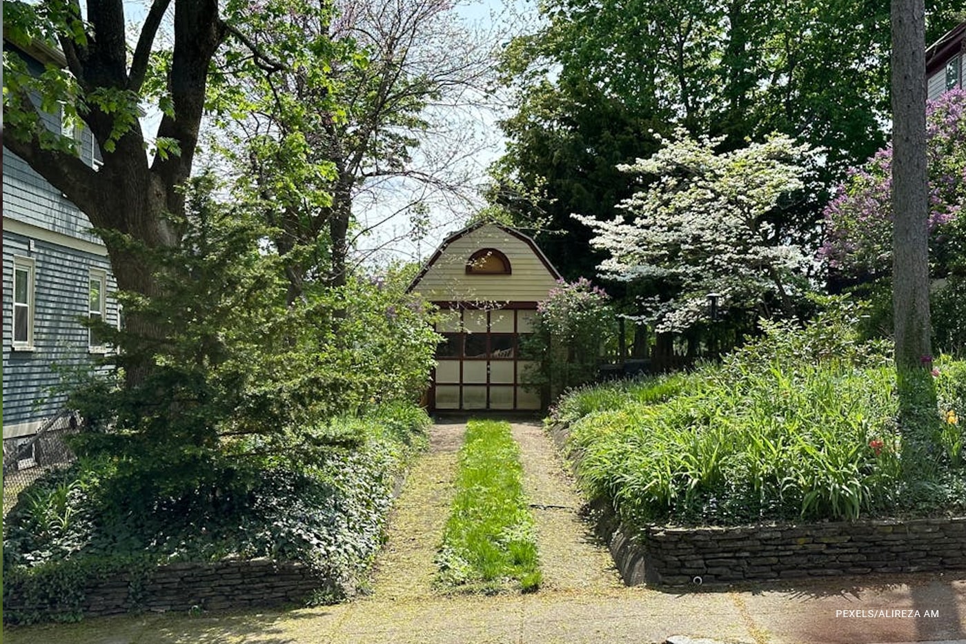 pathway with lush greenery