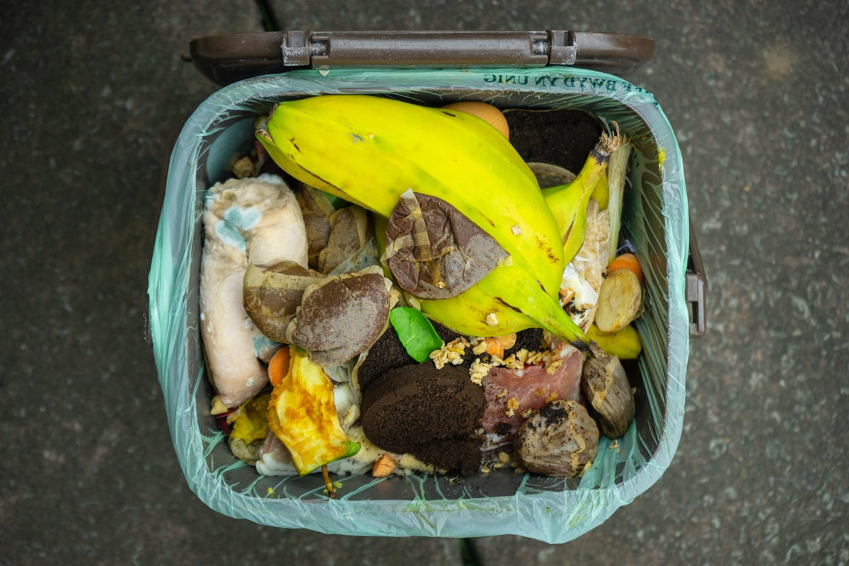 A top view of a compost bin