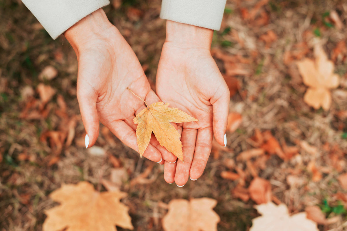 Leaves in the hands of a woman