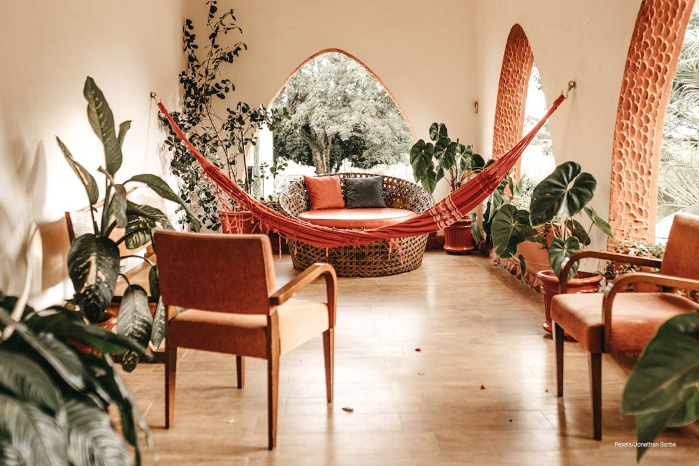 indoor plants