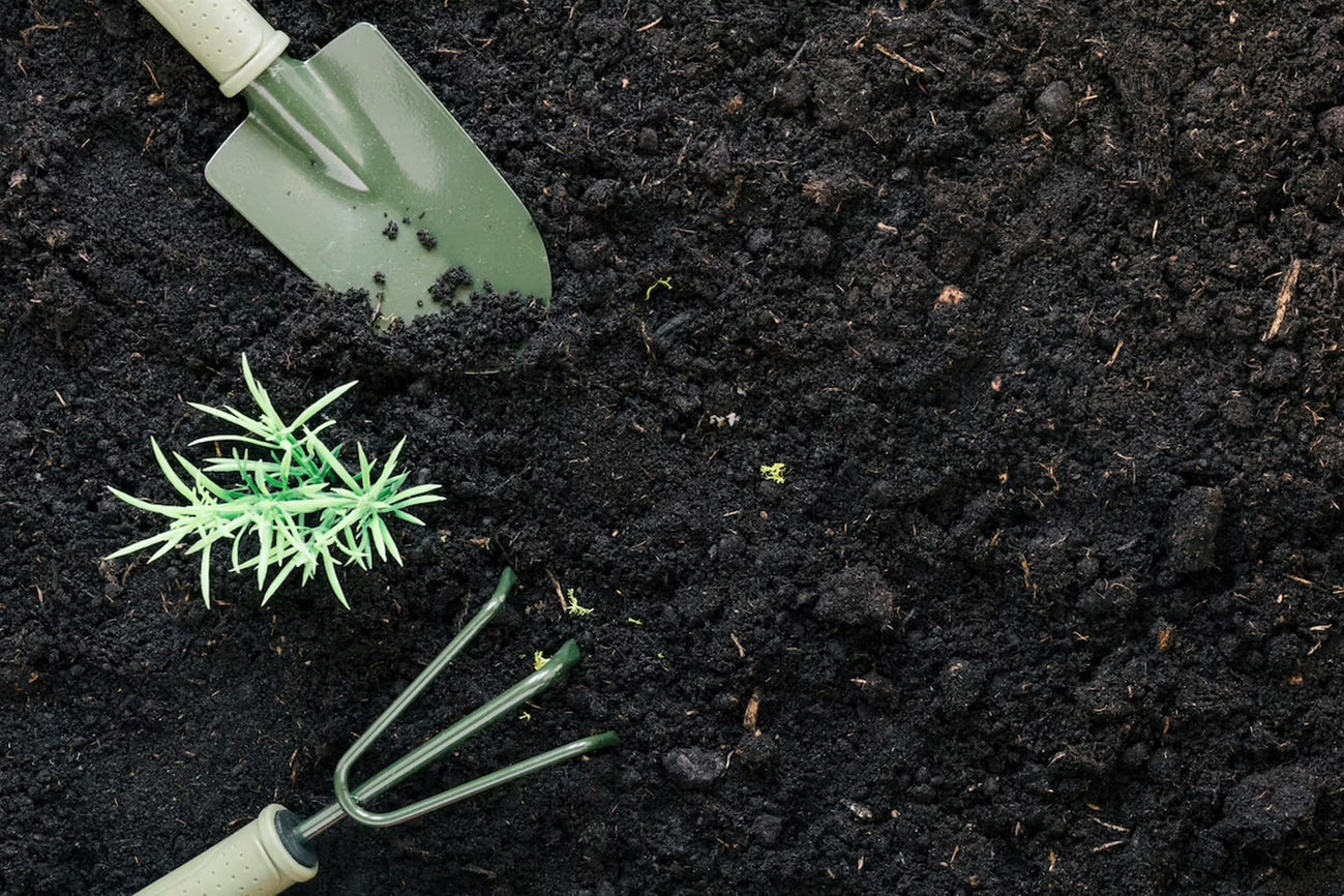 Enhancing the Soil Quality Using Humic Acid - Ultimate Guide – ECOgardener