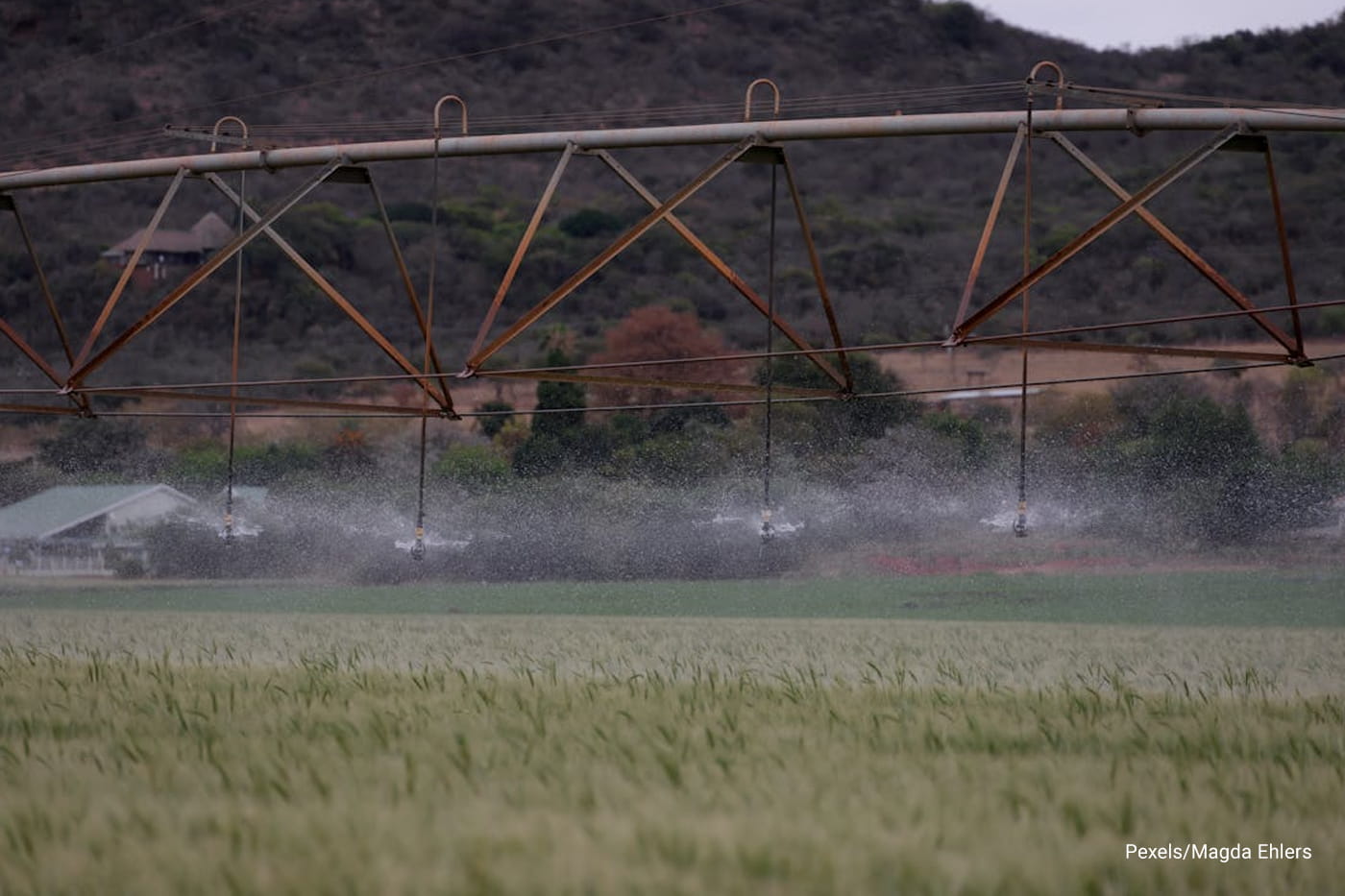 automatic water sprinkler in the garden field