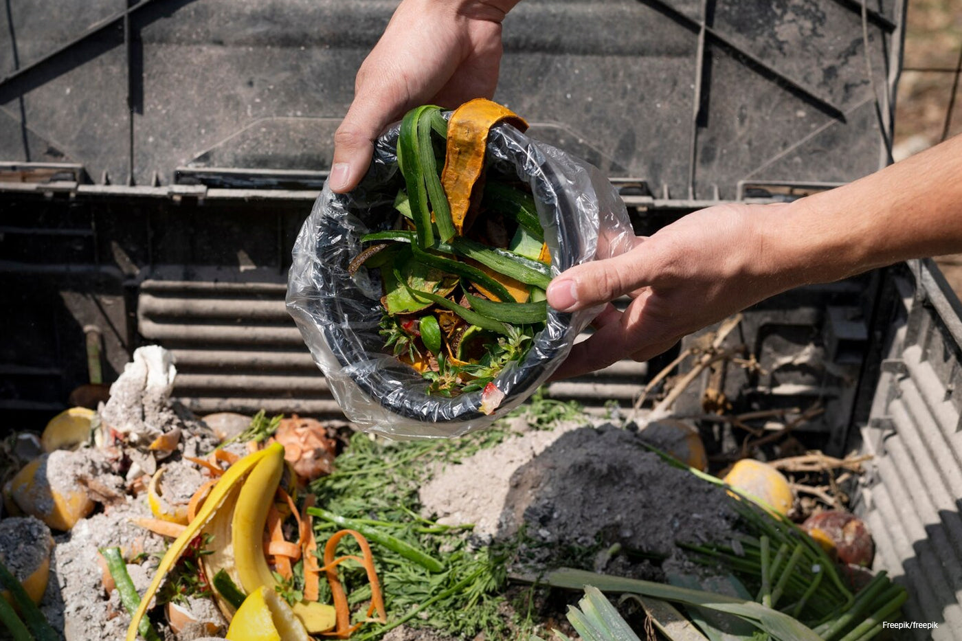 composting vegetables and fruits
