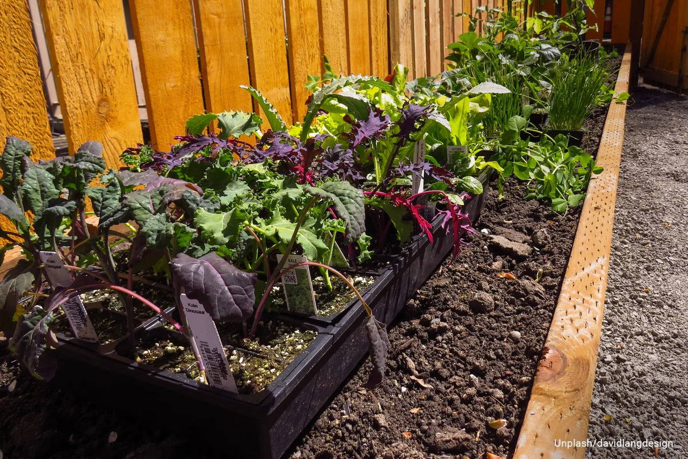 What is Lasagna Gardening? 5 Simple Tips for Beginners