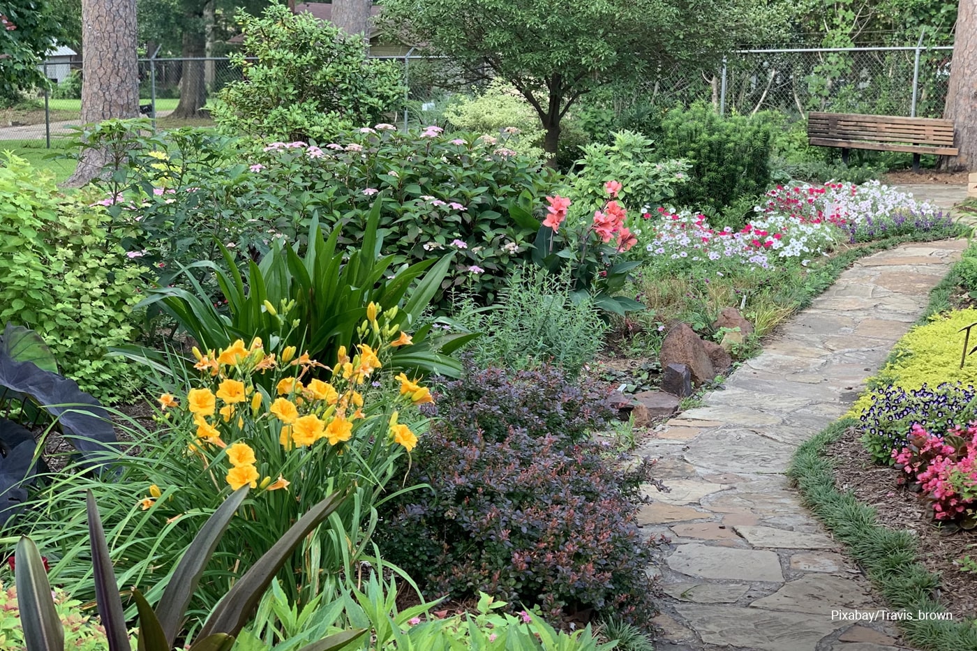 yellow and red flower garden