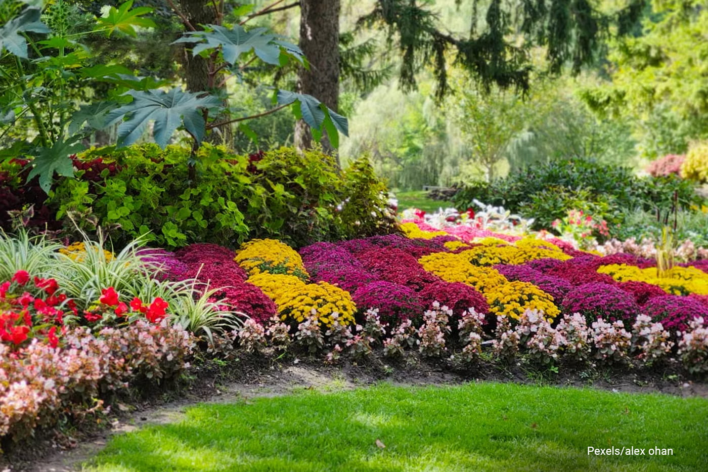 Colorful garden with lush foliage and blooming flowers