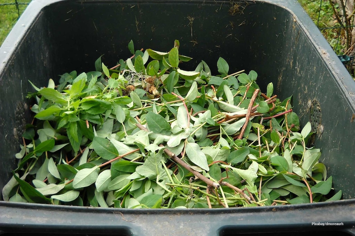 Composting Leaves: Turning Autumn Gold into Garden Gold