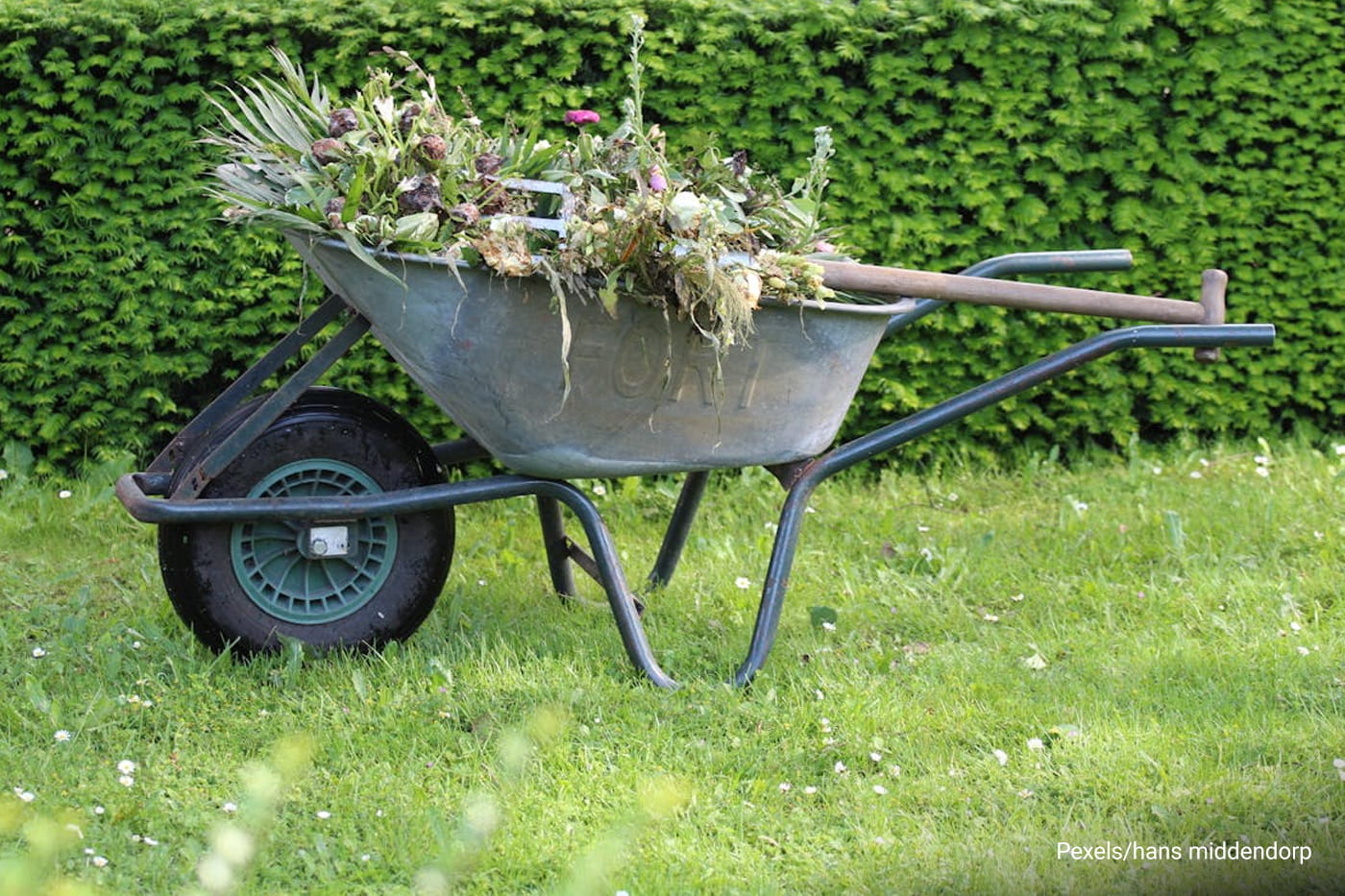wheel barrow with compost materials