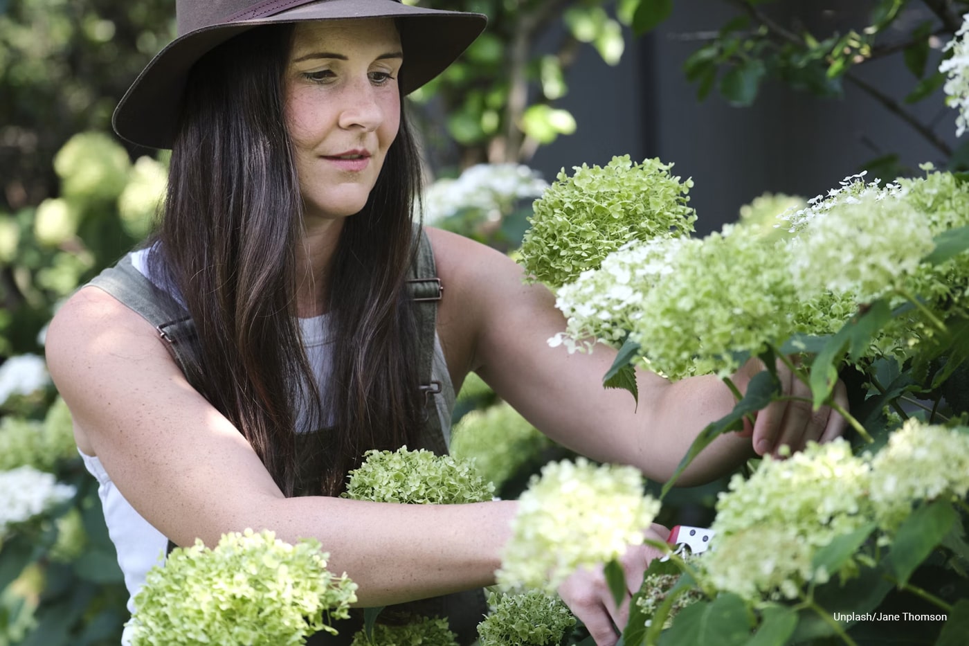 woman cutting flower