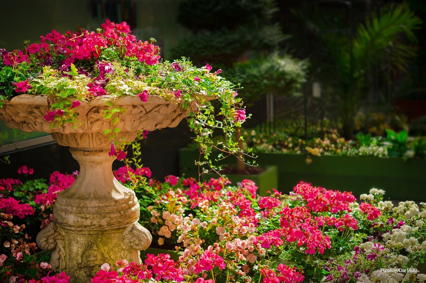 flower garden