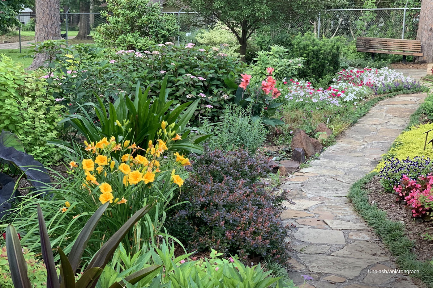 backyard garden with pathway