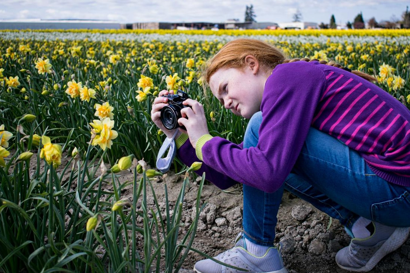 woman taking picture to flowers