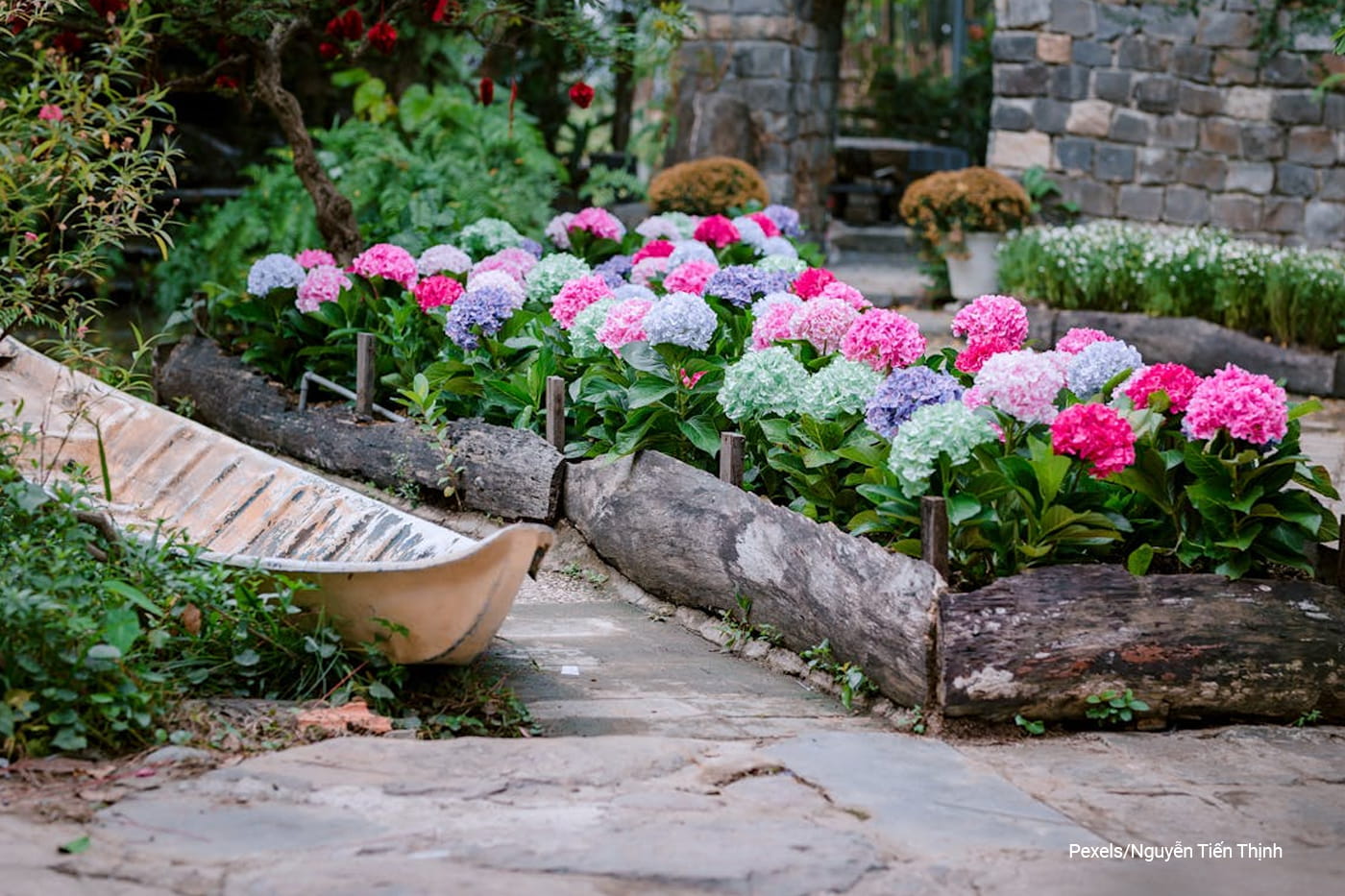 flower garden