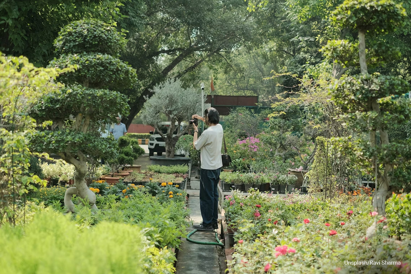 Garden Photography 101: How to Capture Nature’s Beauty at Home