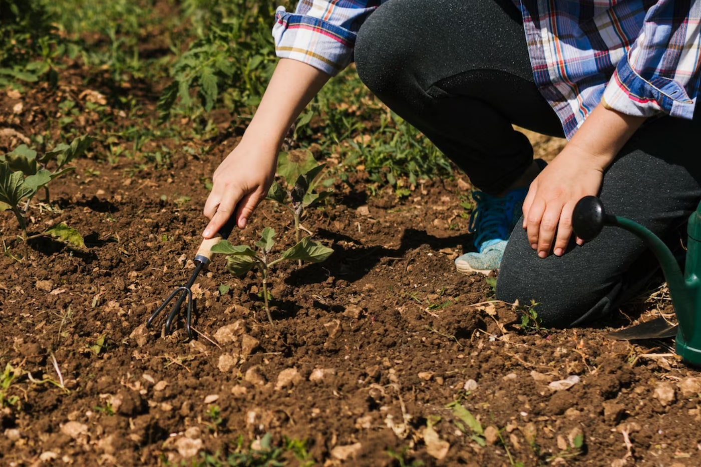 Garden Soil Conditioner Benefits To Plant Growth