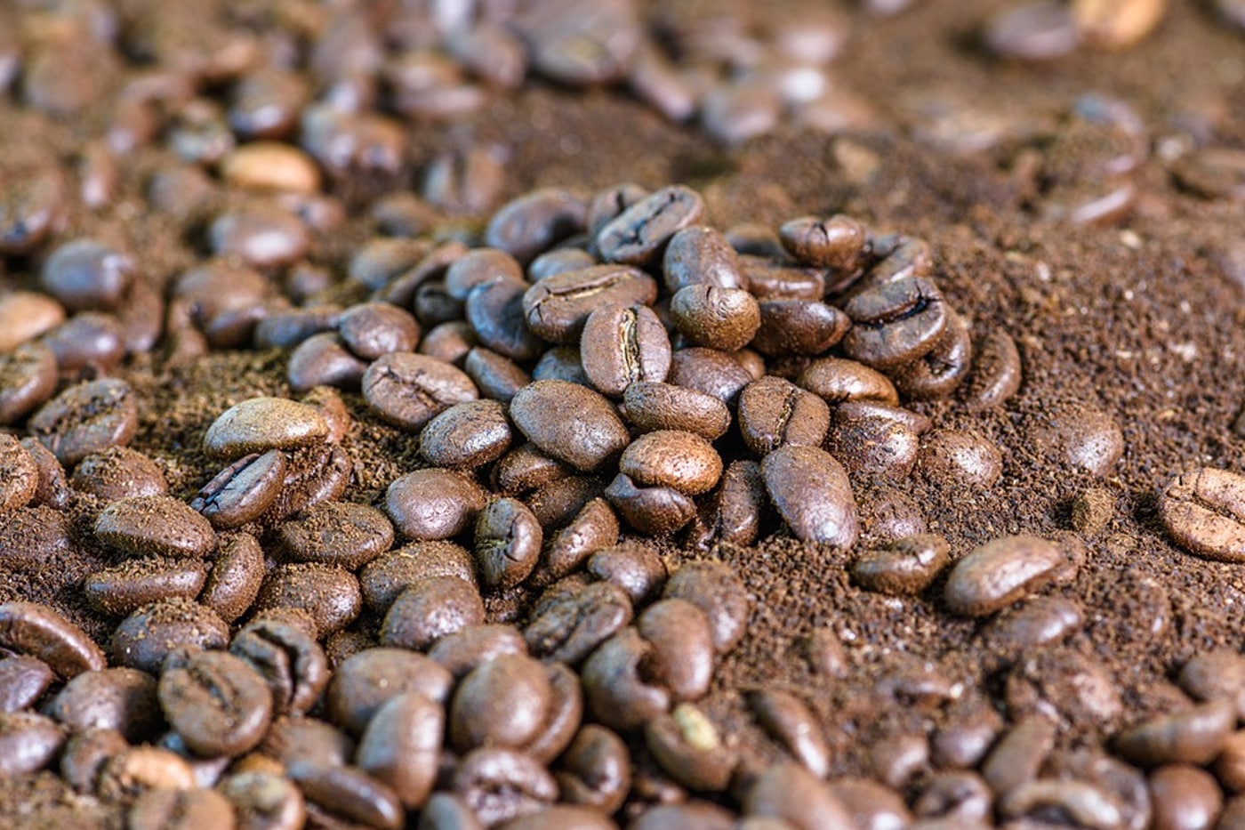 coffee ground and beans