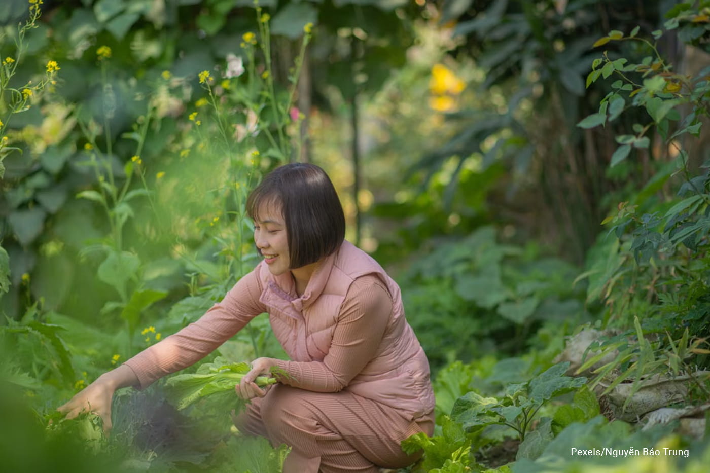 woman doing some gardening stuff
