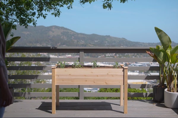 ecogardener elevated raised bed