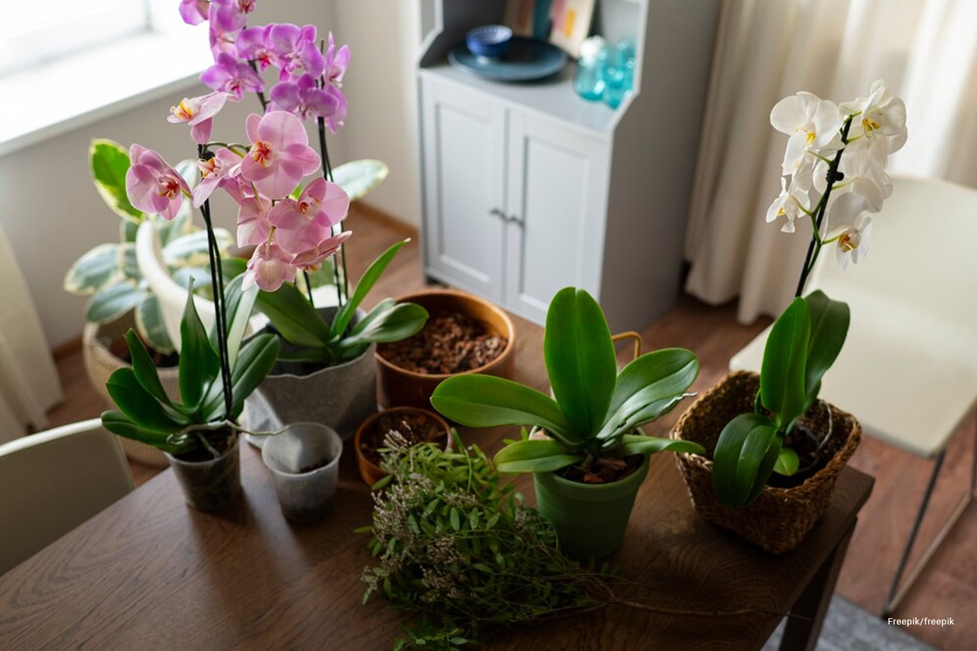flowers on top of the table