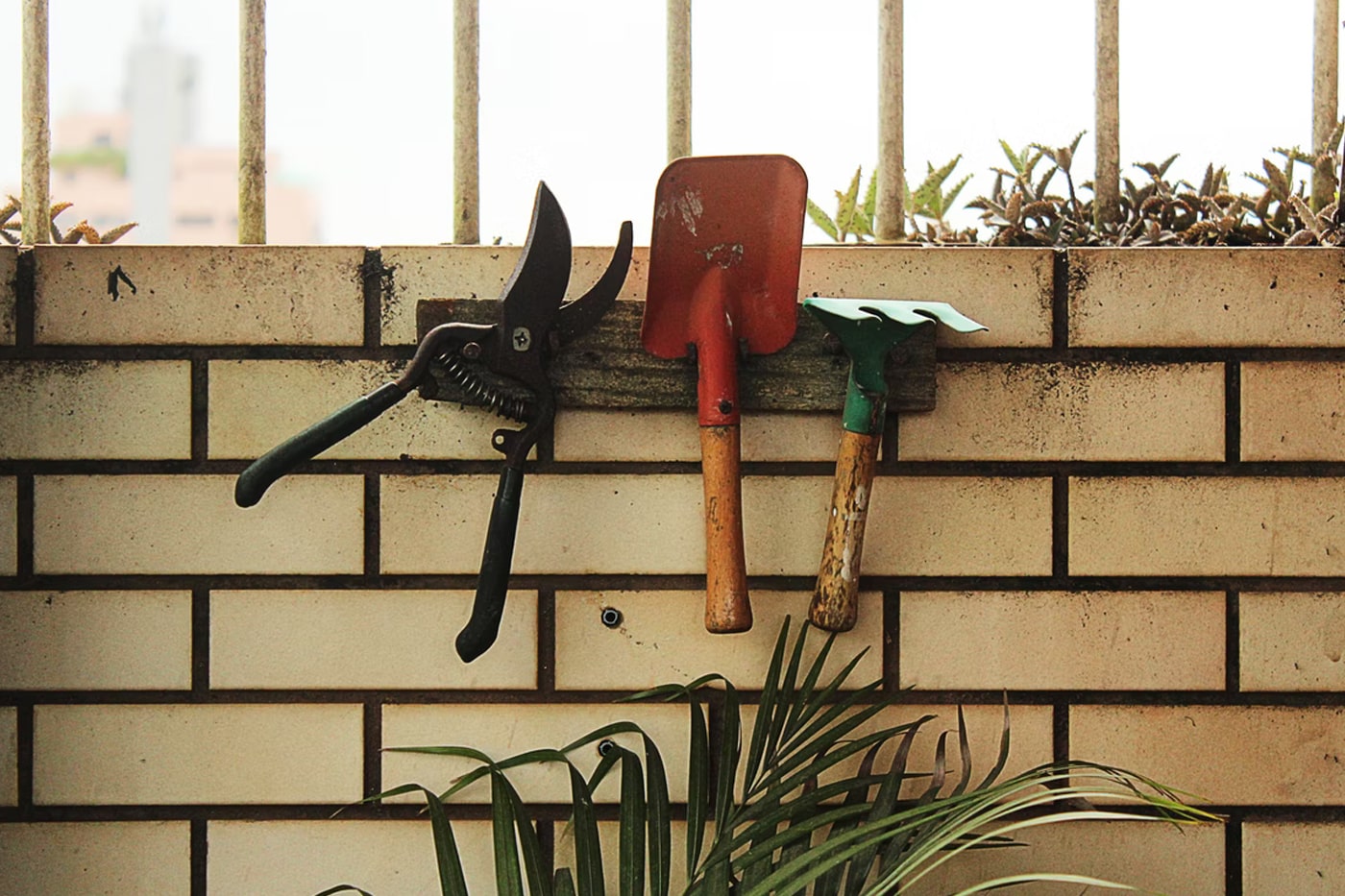How To Care for Garden Tools