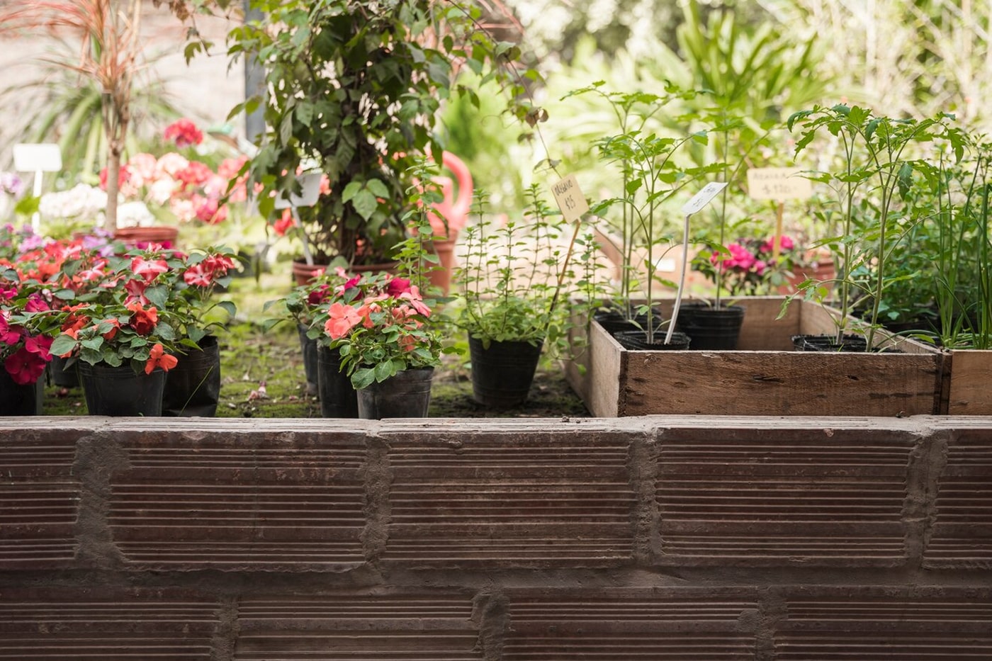 small garden