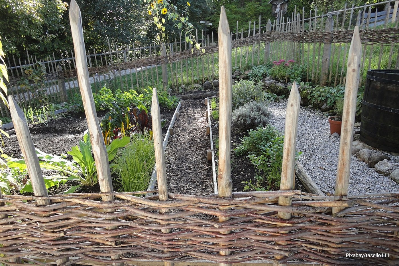 herb and vegetable garden