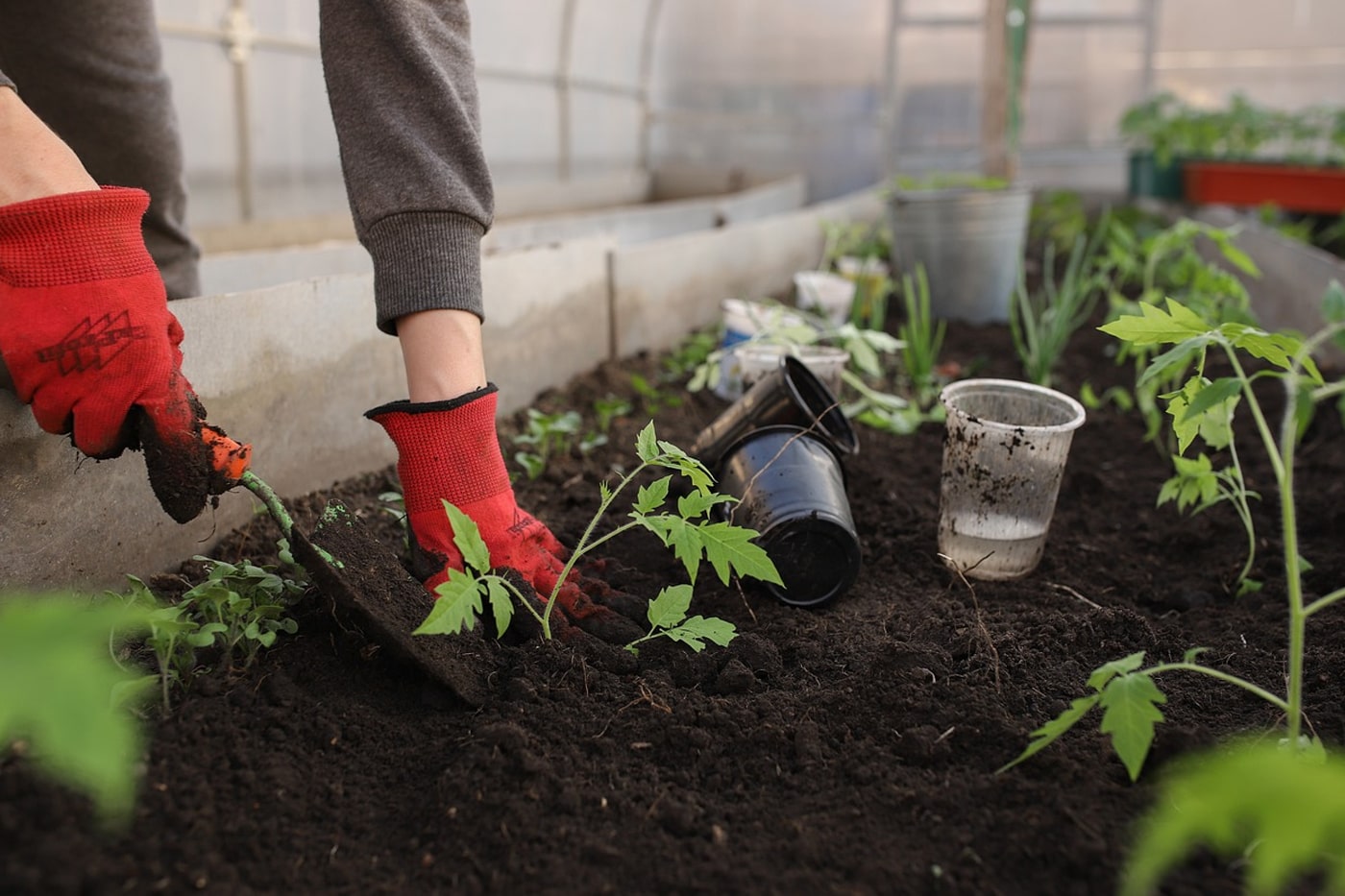 woman plot the soil using hand shovel