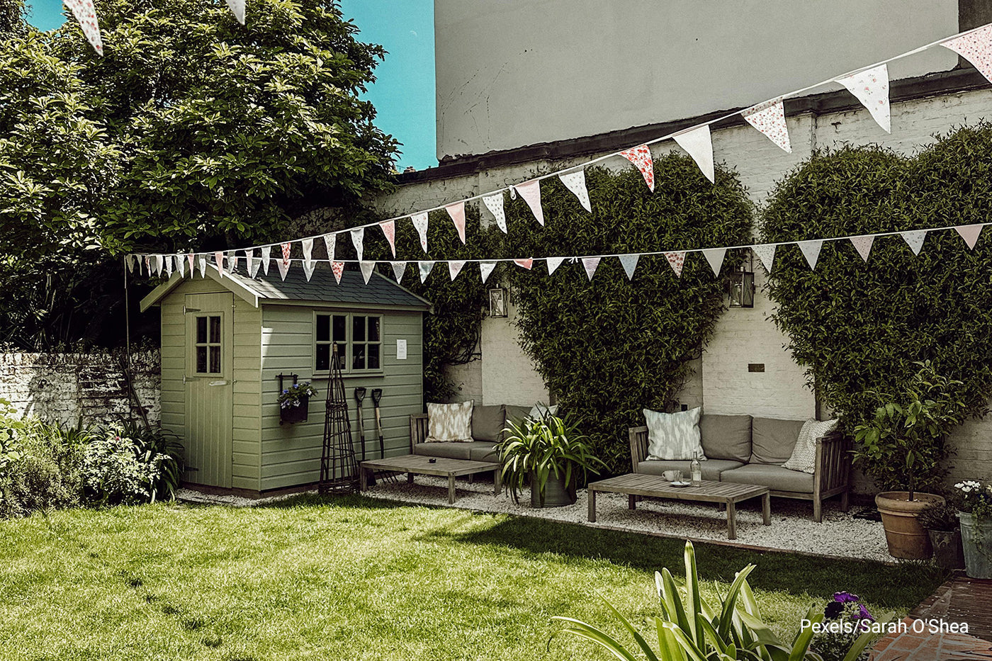 backyard with garden shed