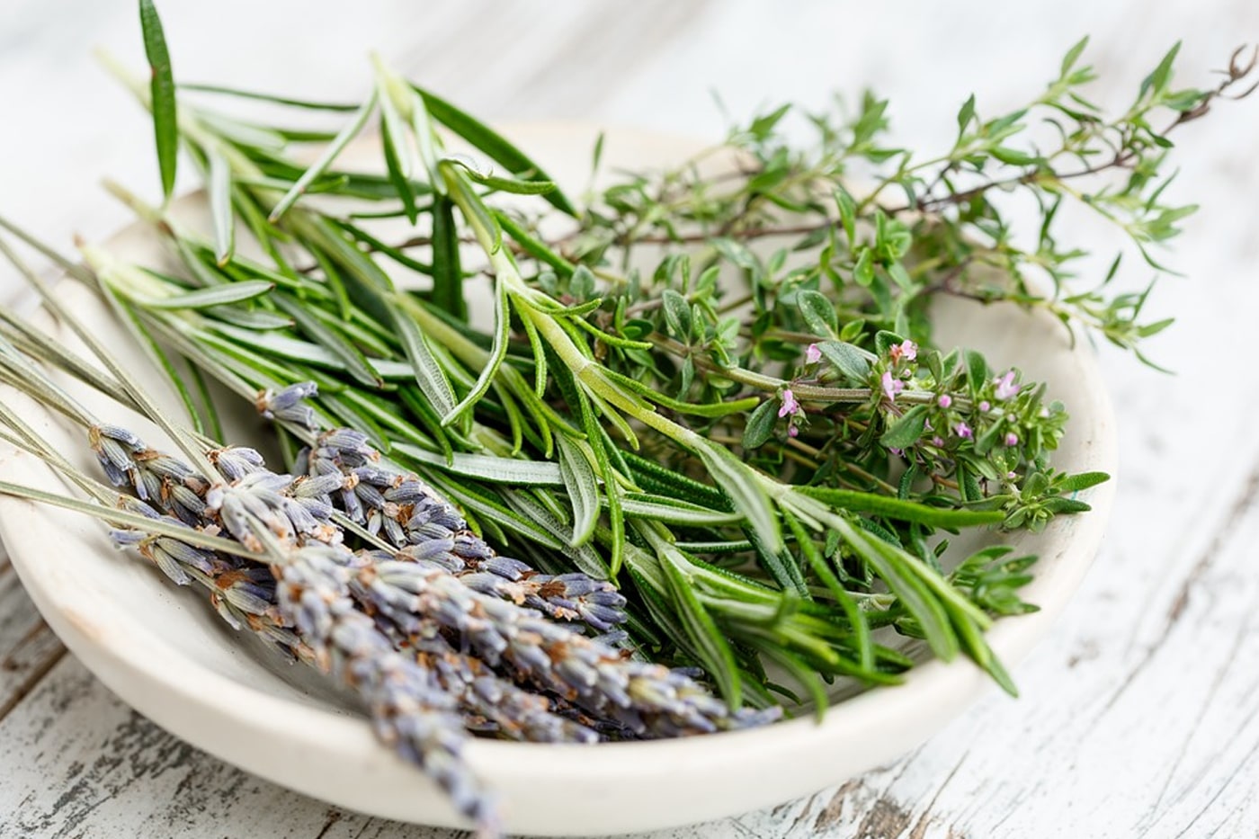 Herb Gardening 101 How to Store Fresh Herbs from the Garden ECOgardener