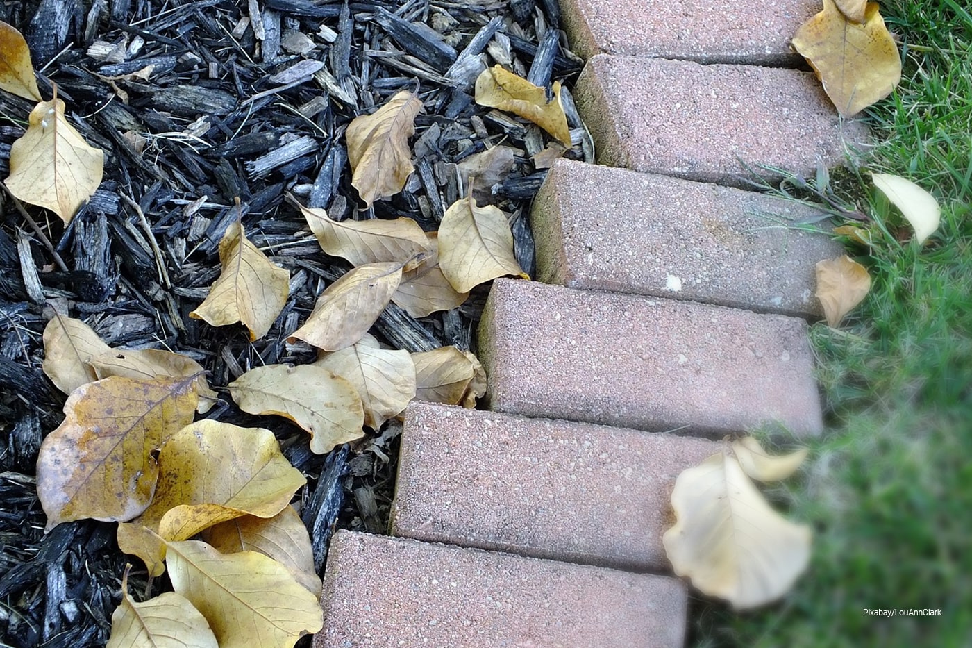 mulch  surrounded by stone bricks