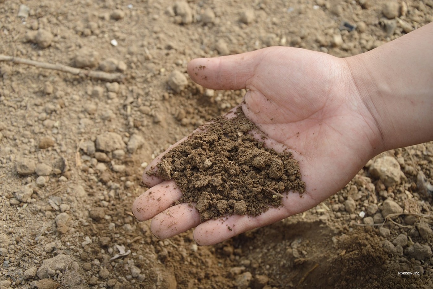 dry soil on hands