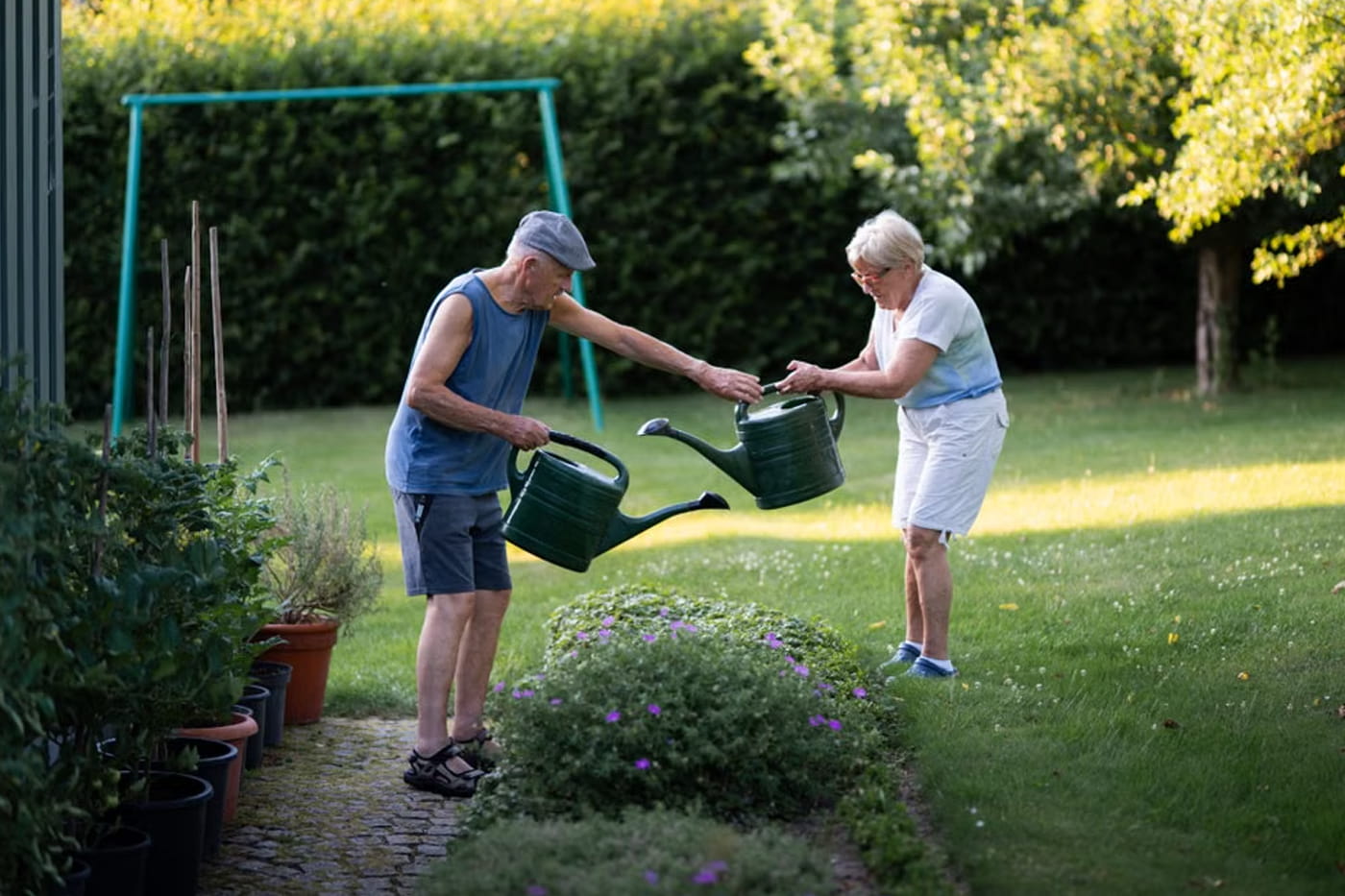 Elderly couple enjoying gardening and watering plants on a sunny day.