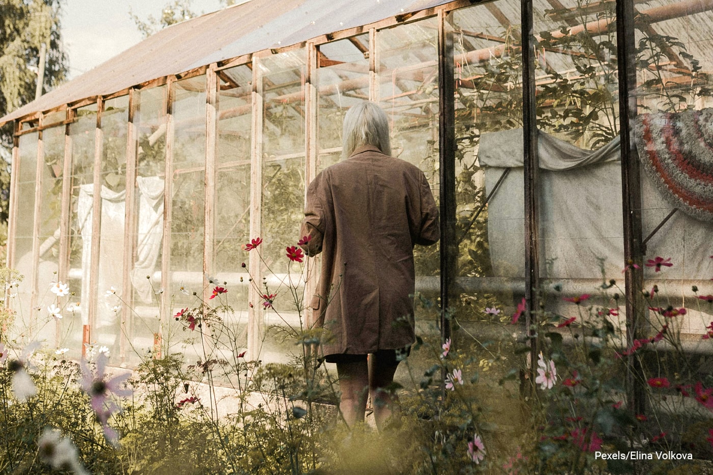 Woman standing in front of greenhouse 