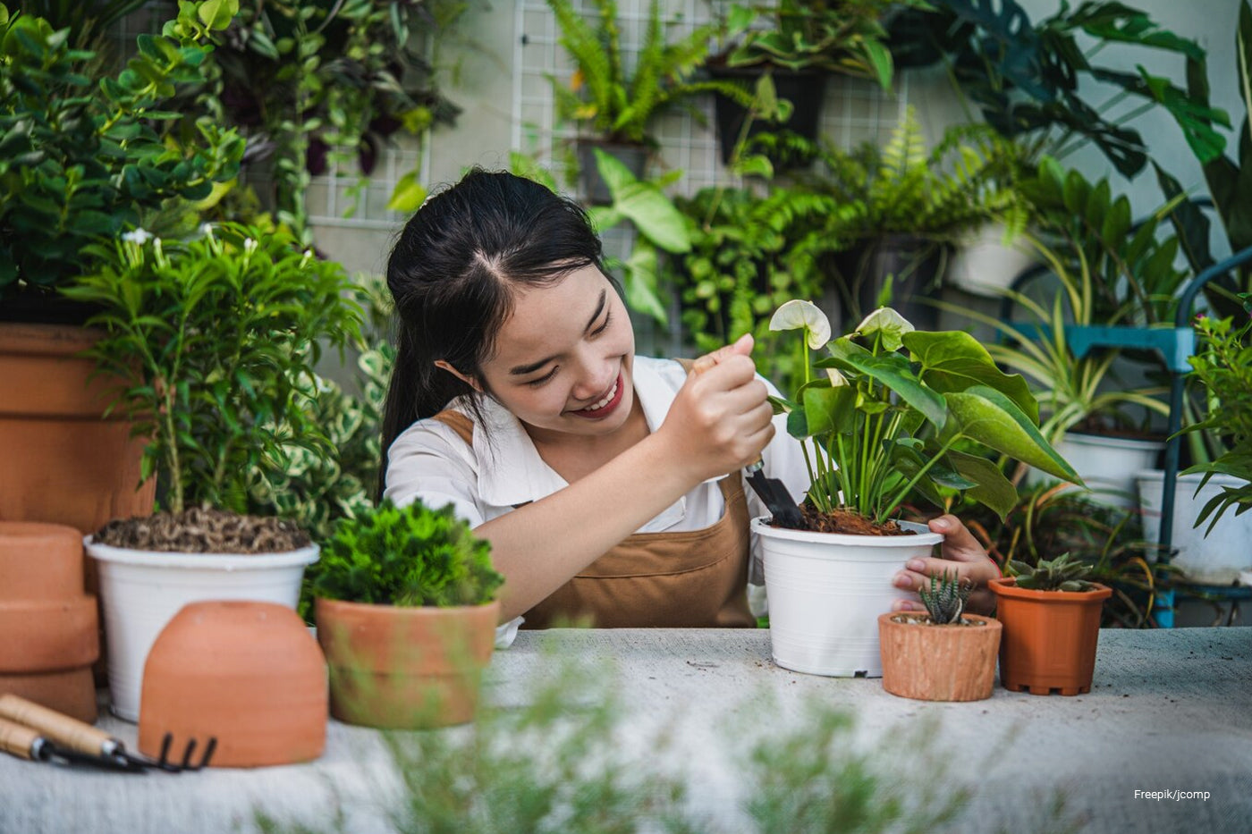 woman arranging the potted plants