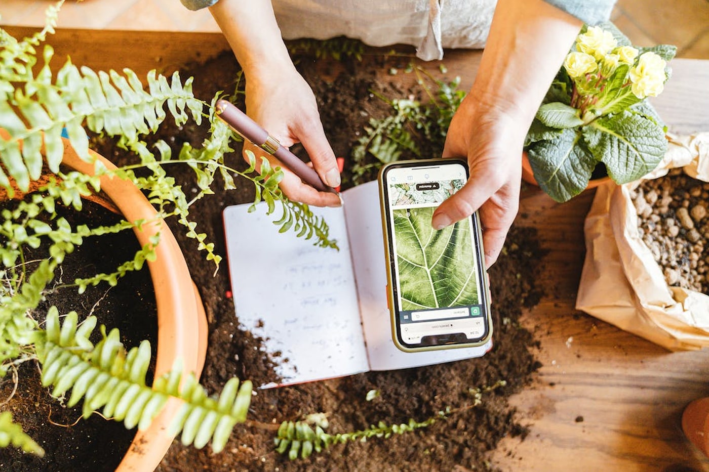 woman writing notes for her plants