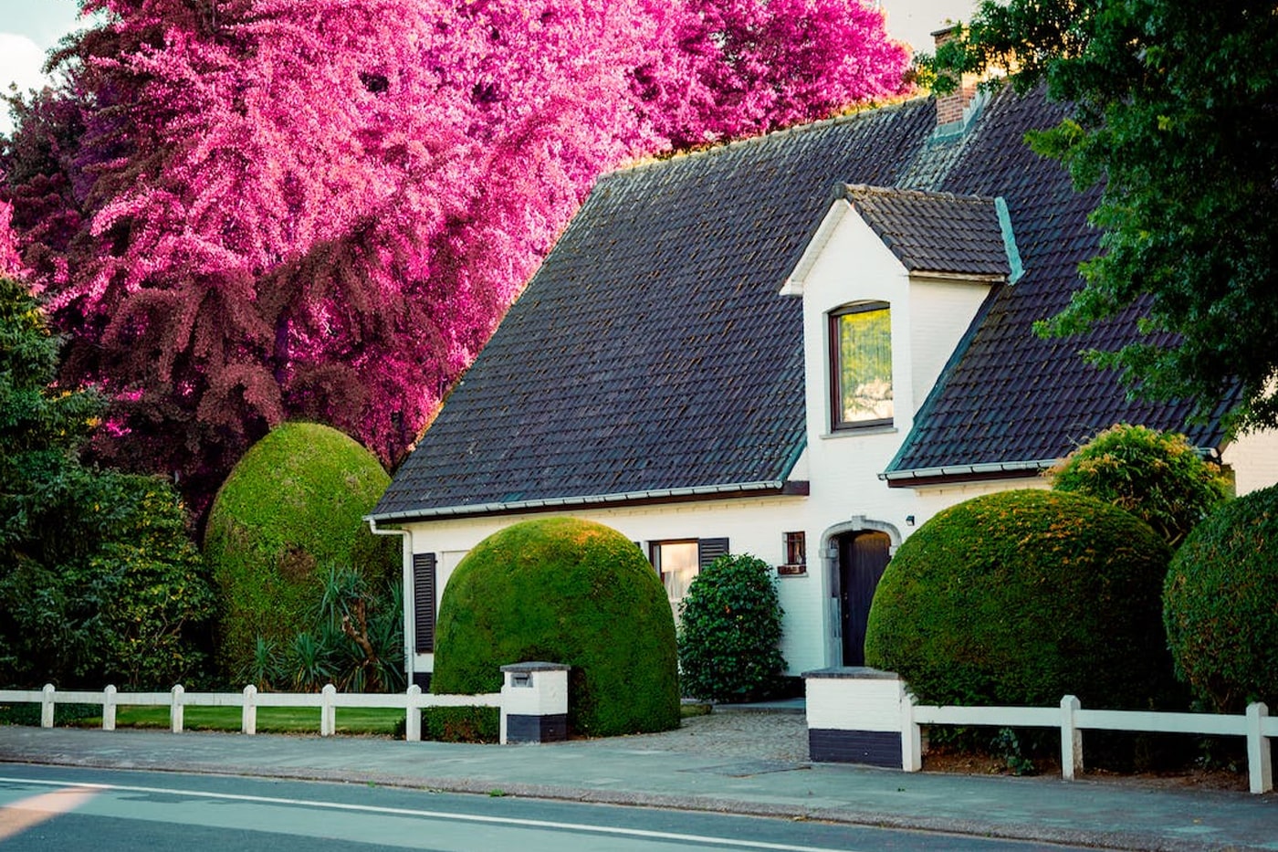 beautiful house with trimmed shrubs and pink tree leaves