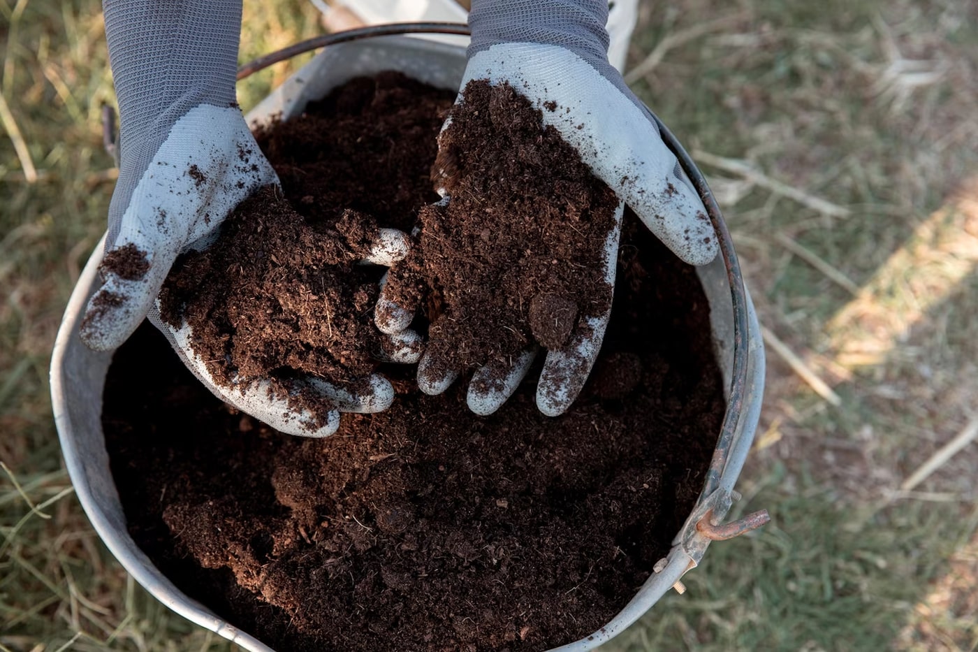 Soil Conditioner vs Compost - Which One Is Better for Plants – ECOgardener