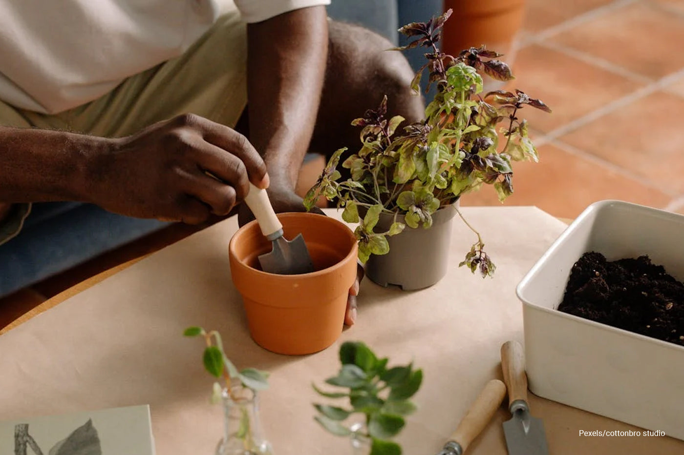 person planting using trowel