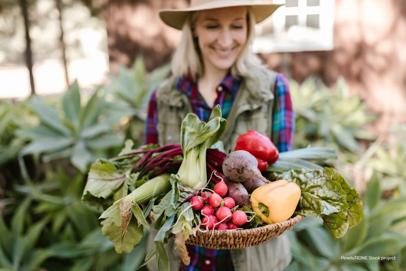 Woman gardener holding basket full of vegetables