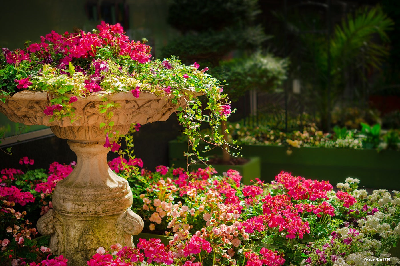 Close up of flowers in the garden