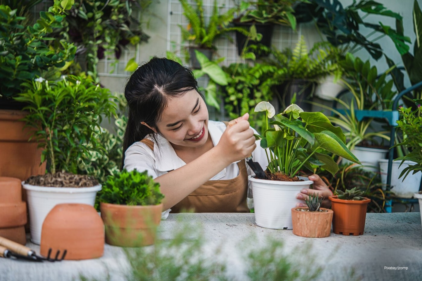 young lady planting plants