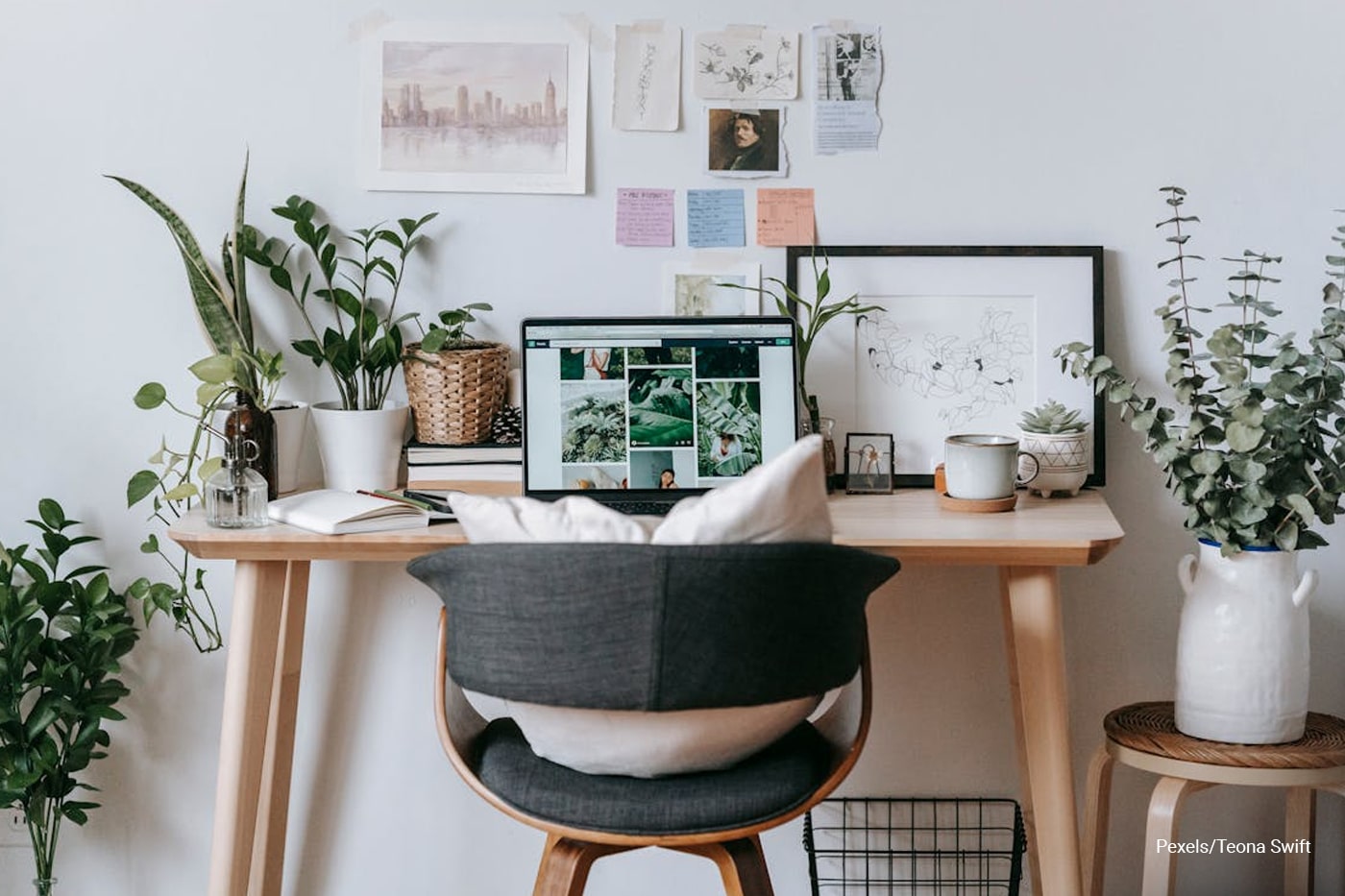 study table surrounded with plants