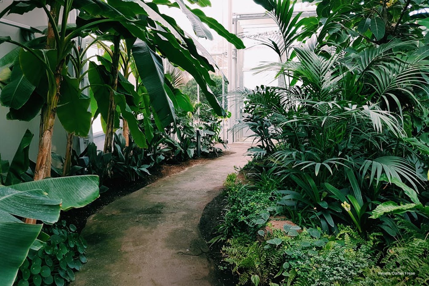 Outdoor garden pathway