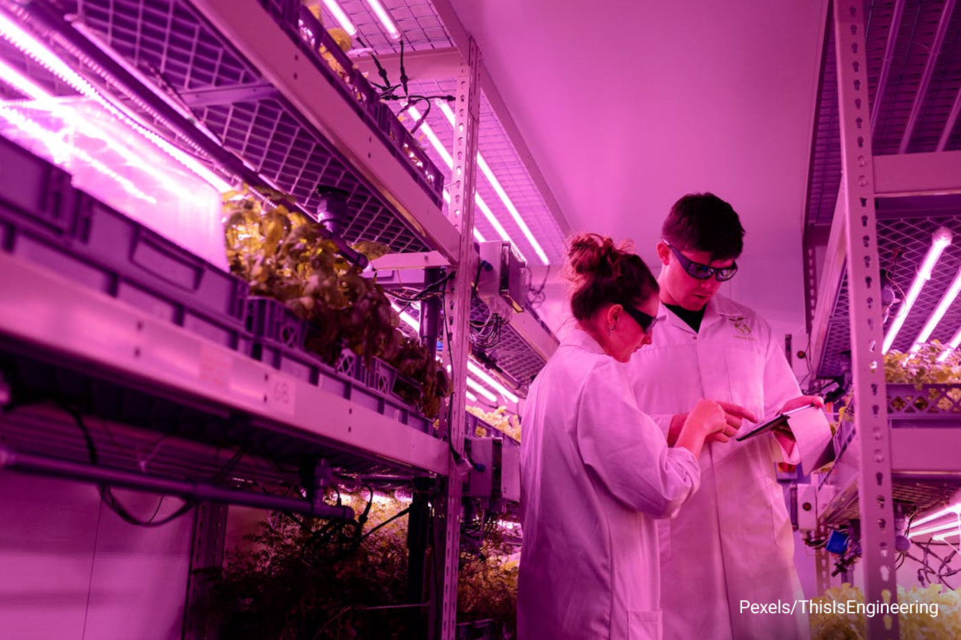 Ultimate Guide to Modern Gardening in 2026