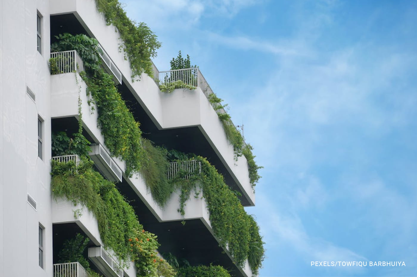 building with balcony garden