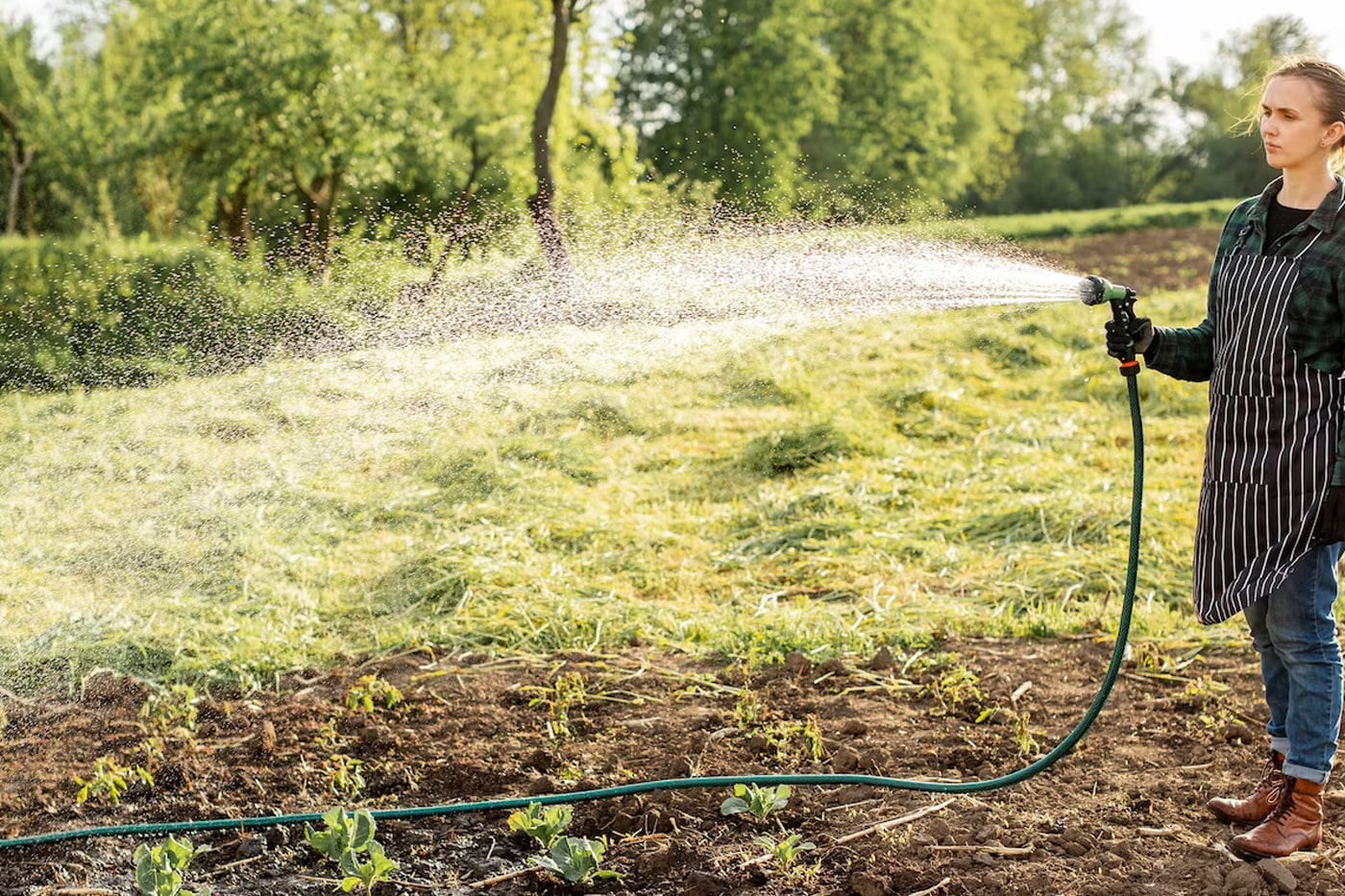 woman watering plants 