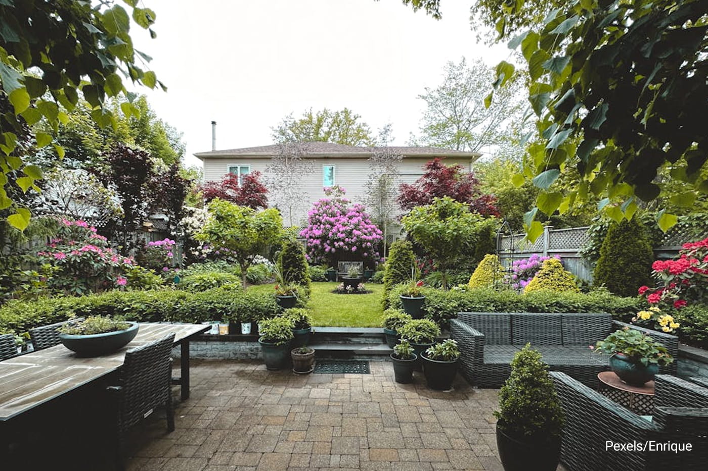 backyard garden